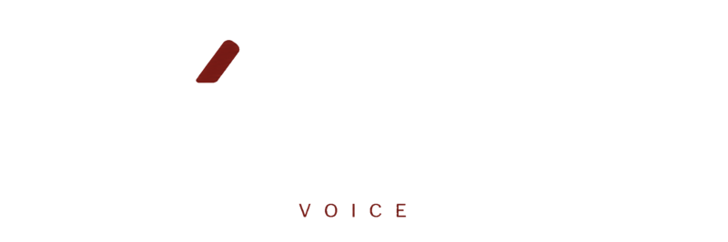 Molcajete Voice logo